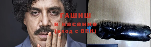 стаф Белокуриха