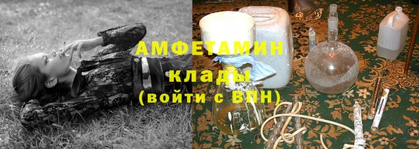 стаф Белокуриха